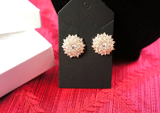 Bông tai Zircon decor stud earings